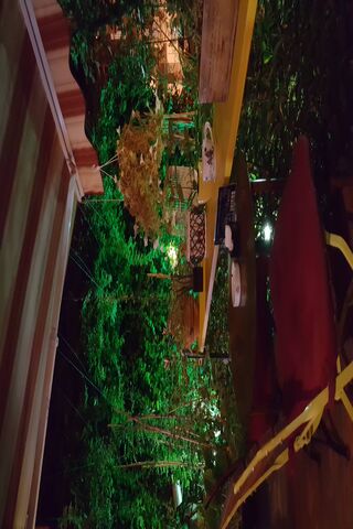 Serenity Under the Stars ✨🌿