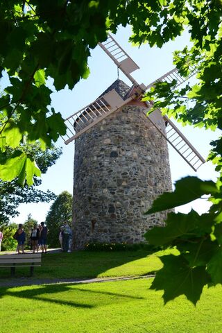 Whispers of the Wind: A Timeless Windmill