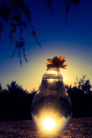 Twilight Glow: Nature's Light