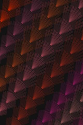 Vibrant Plumage Patterns