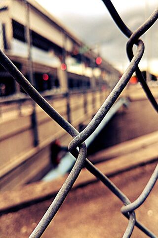 Urban Vibes: A Glimpse Through the Fence