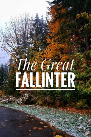 The Enchanted Transition: Fall to Winter 🍂❄️