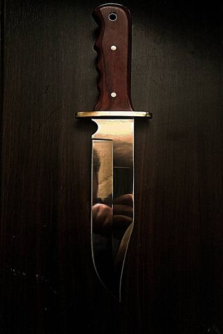 The Classic Western Bow..