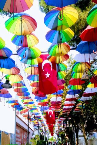 Colorful Canopy: Celebr..