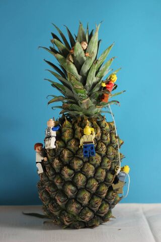 lego ananas