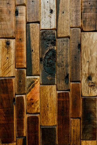 Nature's Mosaic: The Wall of Wood 🌳✨