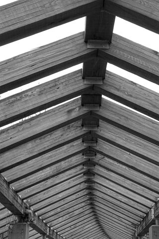 Timber Tranquility: A Study in Structure 🌲✨