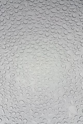 Nature's Crystal Orbs: A Raindrop Symphony 🌧️💧