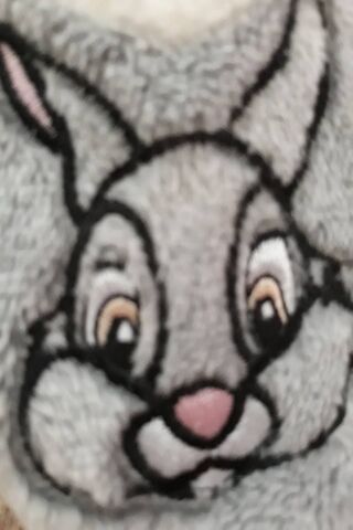 Furry Thumper Disney