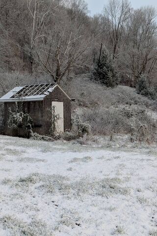 Winter's Embrace: The Snow Shed