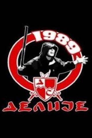 Delije: The Spirit of Passionate Support