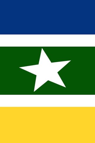 Starry Horizons: A Flag of Unity 🌟