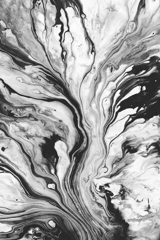 Monochrome Flow: The Art of Contrast