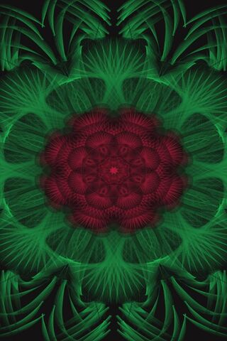 Radiant Holiday Bloom 🌺✨