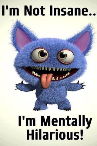 Crazy Fun: Embracing th..