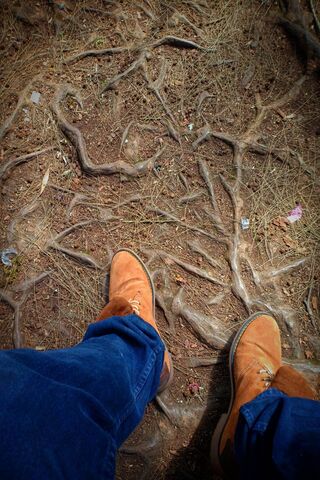 Roots and Boots: Nature's Path
