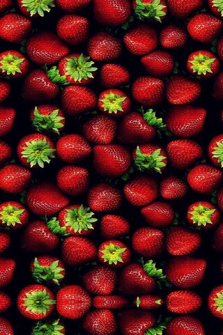 Berry Bliss: A Strawberry Wonderland 🍓✨