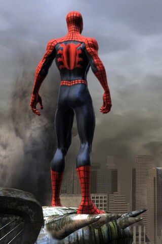 The Web-Slinger Stands Tall: Spiderman 2014