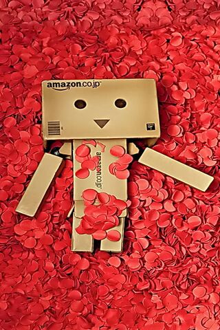 Danbo's Heartfelt Adventure ❤️