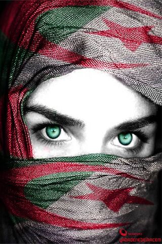 Veil of Algeria: A Glimpse into Culture 🇩🇿