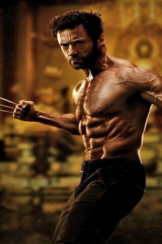 The Wolverine 2013