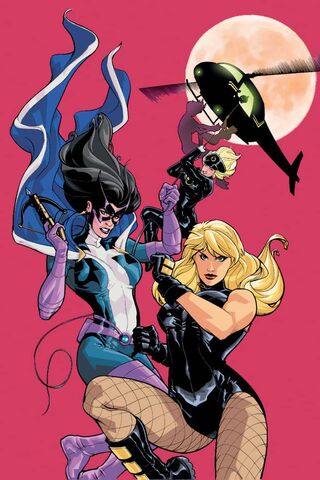 Fierce Females of Gotham 🌙🦅