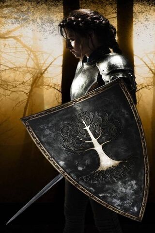 Warrior Spirit: The Battle Within