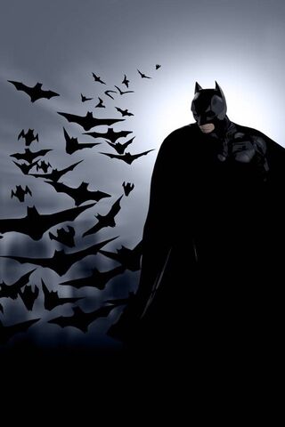 The Dark Knight Rises: A Shadow Among Bats 🦇🌌