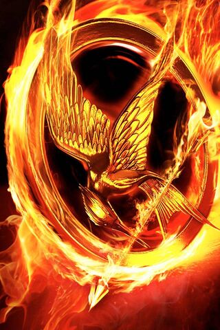 Rise of the Mockingjay 🔥🕊️