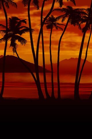Sunset Serenity 🌅🌴