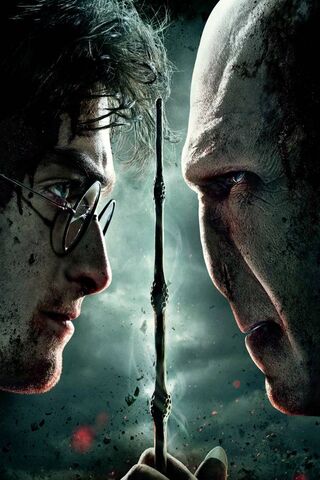 The Ultimate Showdown: Harry vs. Voldemort ⚡️🧙