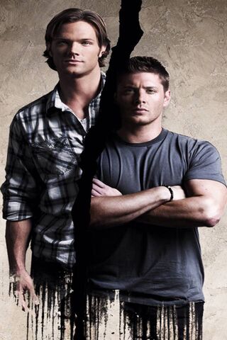 Brothers in Battle: The..