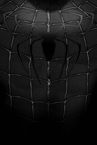 The Dark Web of Spiderman 🕷️🖤