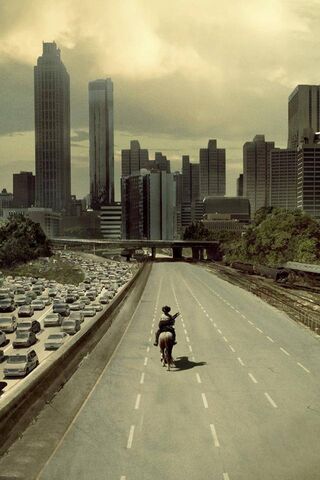 Survival in a Silent City 🌆🐴