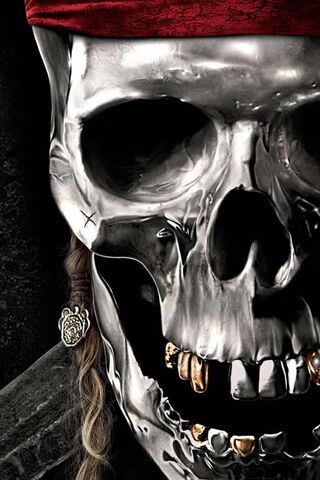 The Enigmatic Skull of ..