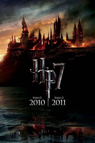 The Epic Finale of a Wizarding Journey ✨⚡️