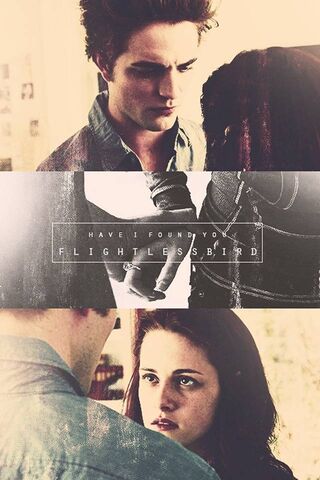 Eternal Connection: Bella and Edward's Love Story 💖✨