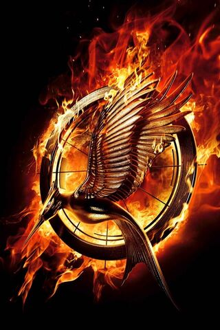 Rise of the Mockingjay 🔥🕊️
