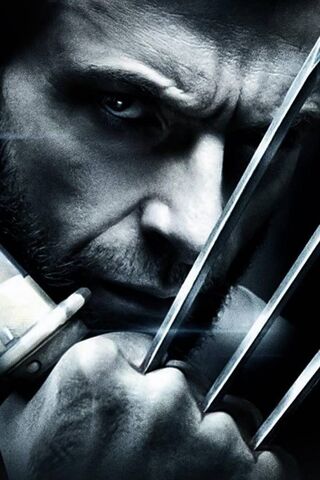 Wolverine 3D