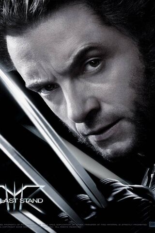 Wolverine: The Relentless Hero 🐾