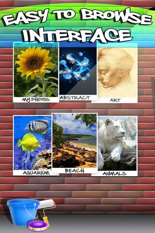 Vibrant Visuals: Explore the World of Wallpapers 9000 🌈🖼️