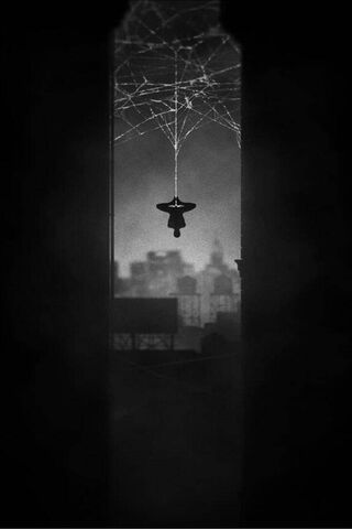 321975 SpiderMan Noir SpiderMan Into the SpiderVerse 4K 3840x2160   Rare Gallery HD Wallpapers