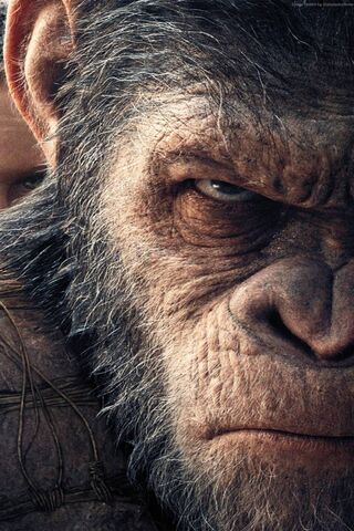 Rise of the Primal Lead..