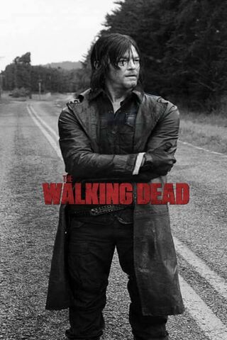 Daryl Dixon: The Lone Survivor