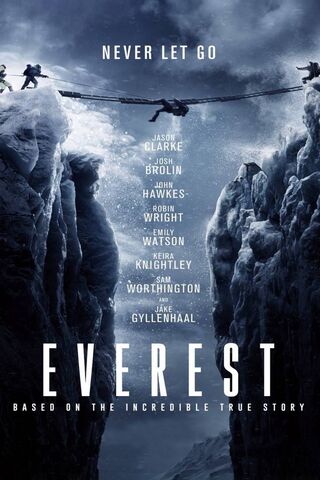 Conquering the Heights: The Everest Adventure 🏔️✨