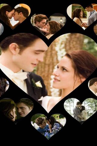 Twilight Saga