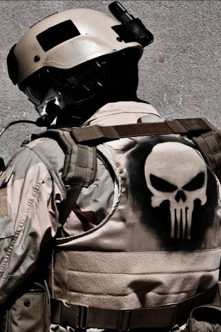 Vigilante in Shadows: The Punisher's Emblem