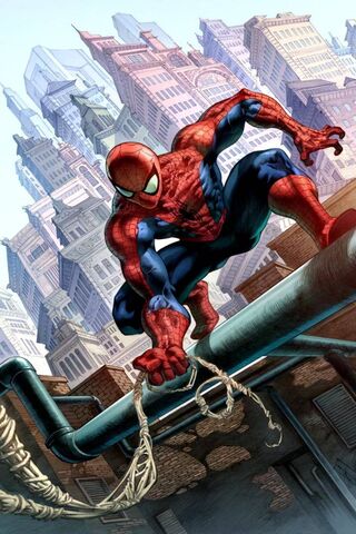 Web-Slinger in Action! 🕷️🕸️