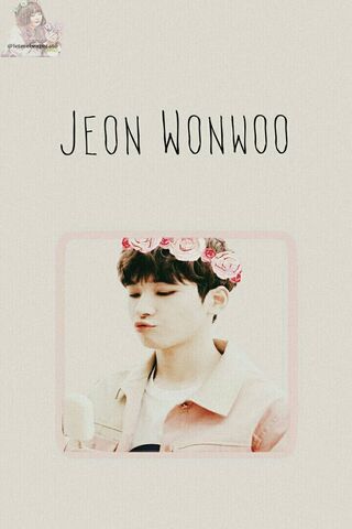 Sweet Moments with Wonwoo 🍦🌸