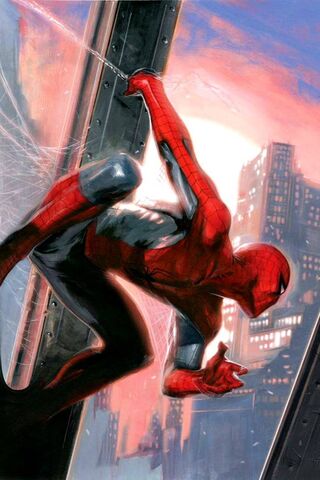 Web-Slinger in Action! 🕷️✨